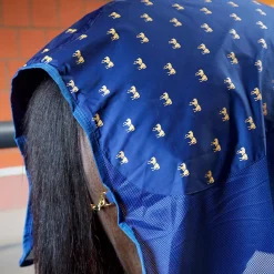 New Cooler Terapidekken