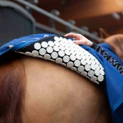 New Cooler Terapidekken