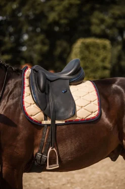 Outlet B Vertigo Amory dressursjabrak med brodert monogram Dressursjabraker