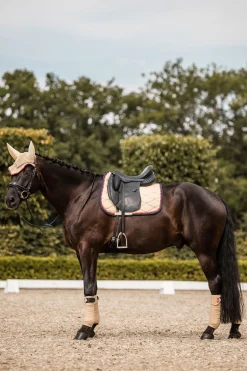 Outlet B Vertigo Amory dressursjabrak med brodert monogram Dressursjabraker