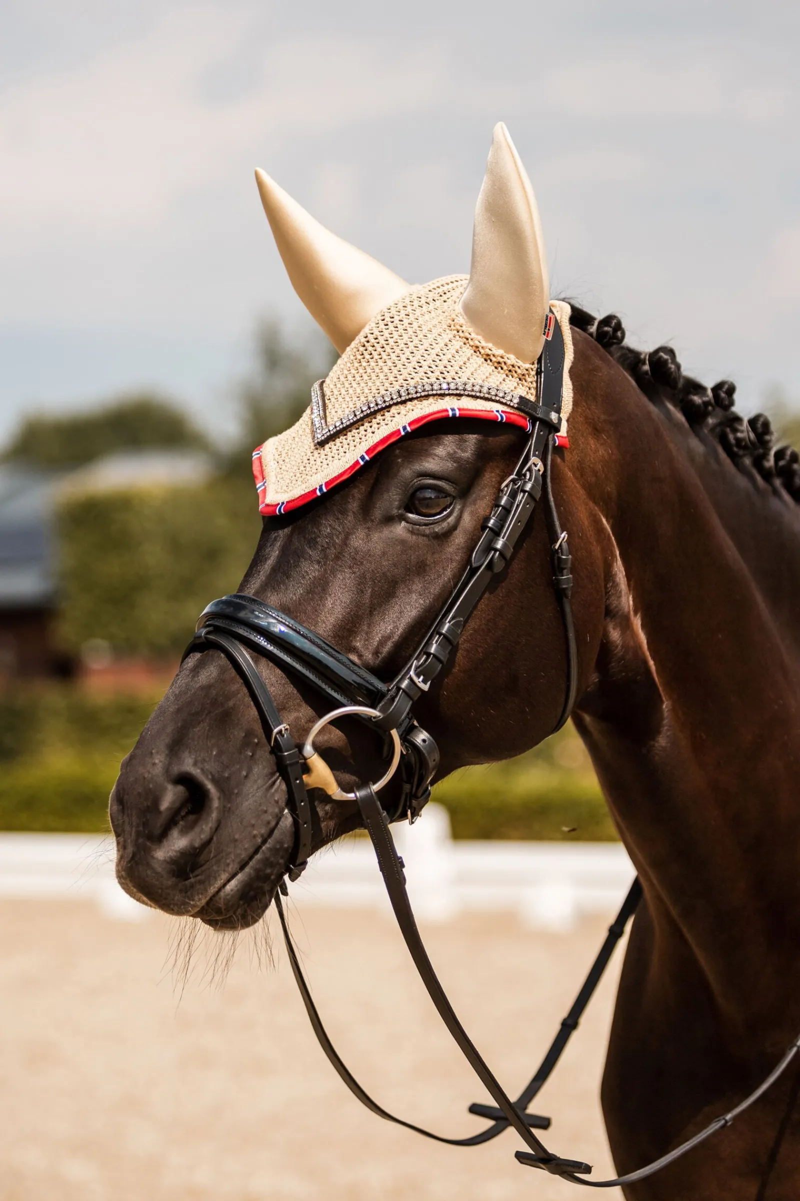 Online B Vertigo Amory lydløs ørenett Ørehetter|Ørehetter