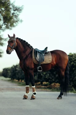 Discount B Vertigo Drew dressursjabrak Dressursjabraker