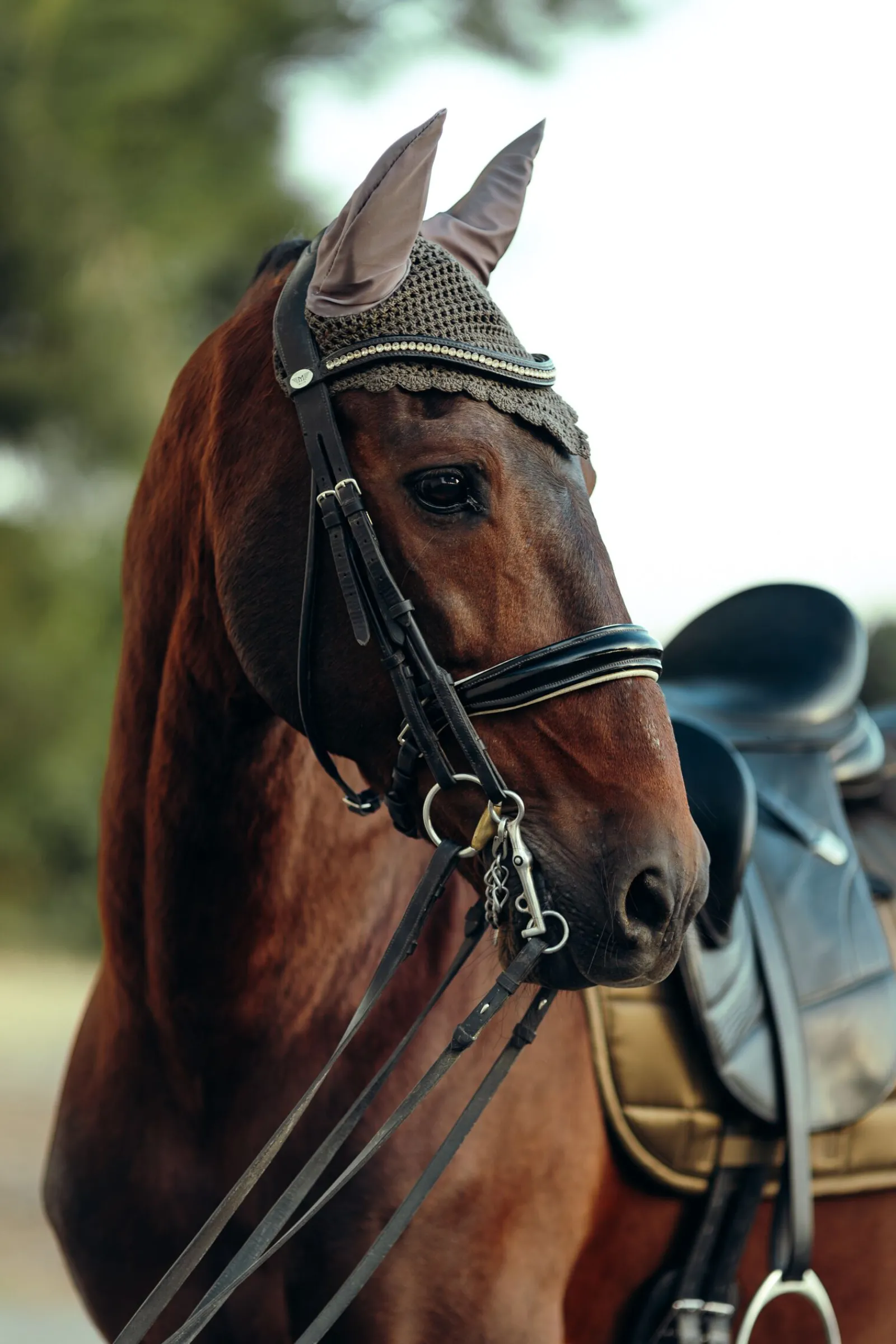 New B Vertigo Drew ørehette Ørehetter|Ørehetter