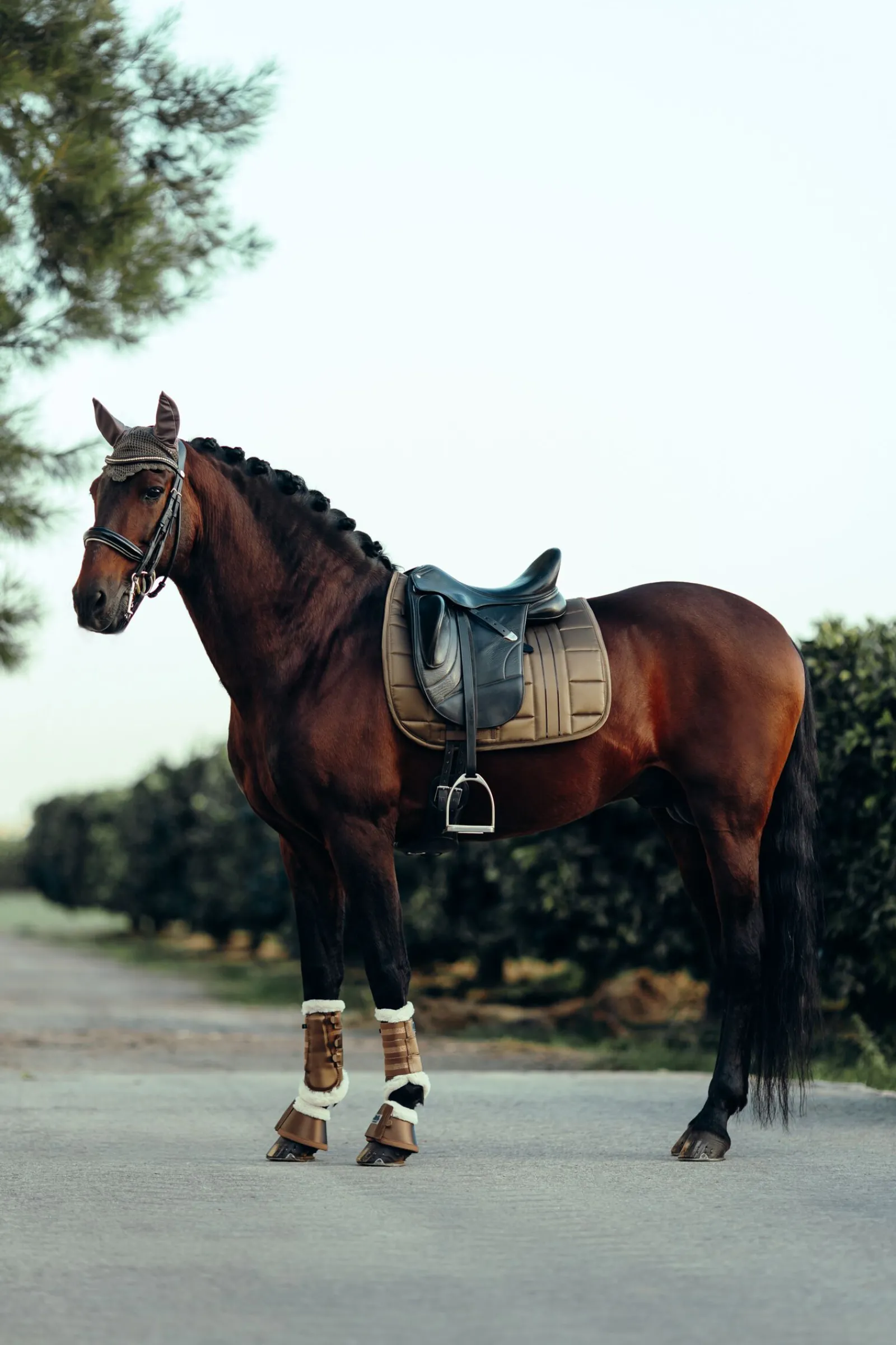 New B Vertigo Drew ørehette Ørehetter|Ørehetter