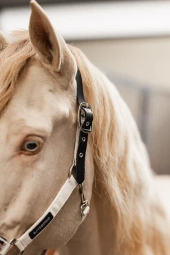 Outlet B Vertigo Empowerment Field-Safe grime Grimer