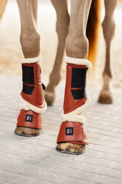 Clearance B Vertigo Empowerment kopper Ponni Belegg|Kopper Til Hest