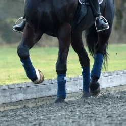 New B Vertigo France stallbandasjer Bandasjer