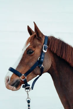 Sale B Vertigo Hardwick grime Grimer