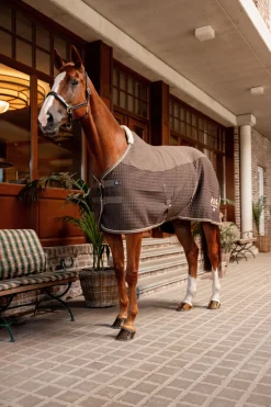 Sale B Vertigo High Altitude ullblanding cooler Ulldekken Og Svettedekken