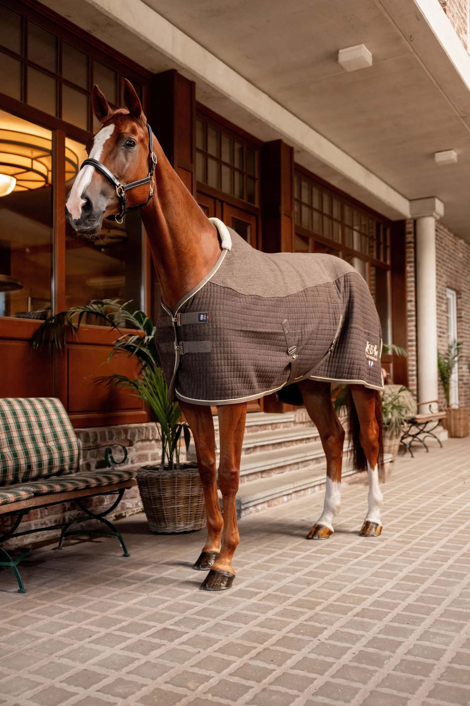 Sale B Vertigo High Altitude ullblanding cooler Ulldekken Og Svettedekken