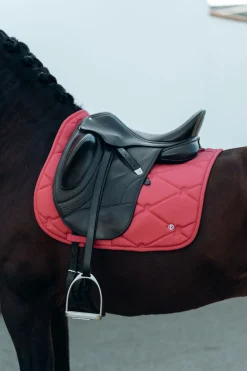 Outlet B Vertigo Laurel dressursjabrak Dressursjabraker