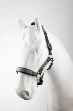 Hot B Vertigo Lennox lærgrime Lærgrimer|Grimer