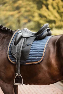 Online B Vertigo Quinn dressursjabrak Dressursjabraker