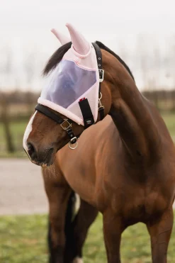 Hot B Vertigo Rouge Reflection fluemaske Fluemasker & Fluepannebånd|Fluemasker & Fluepannebånd