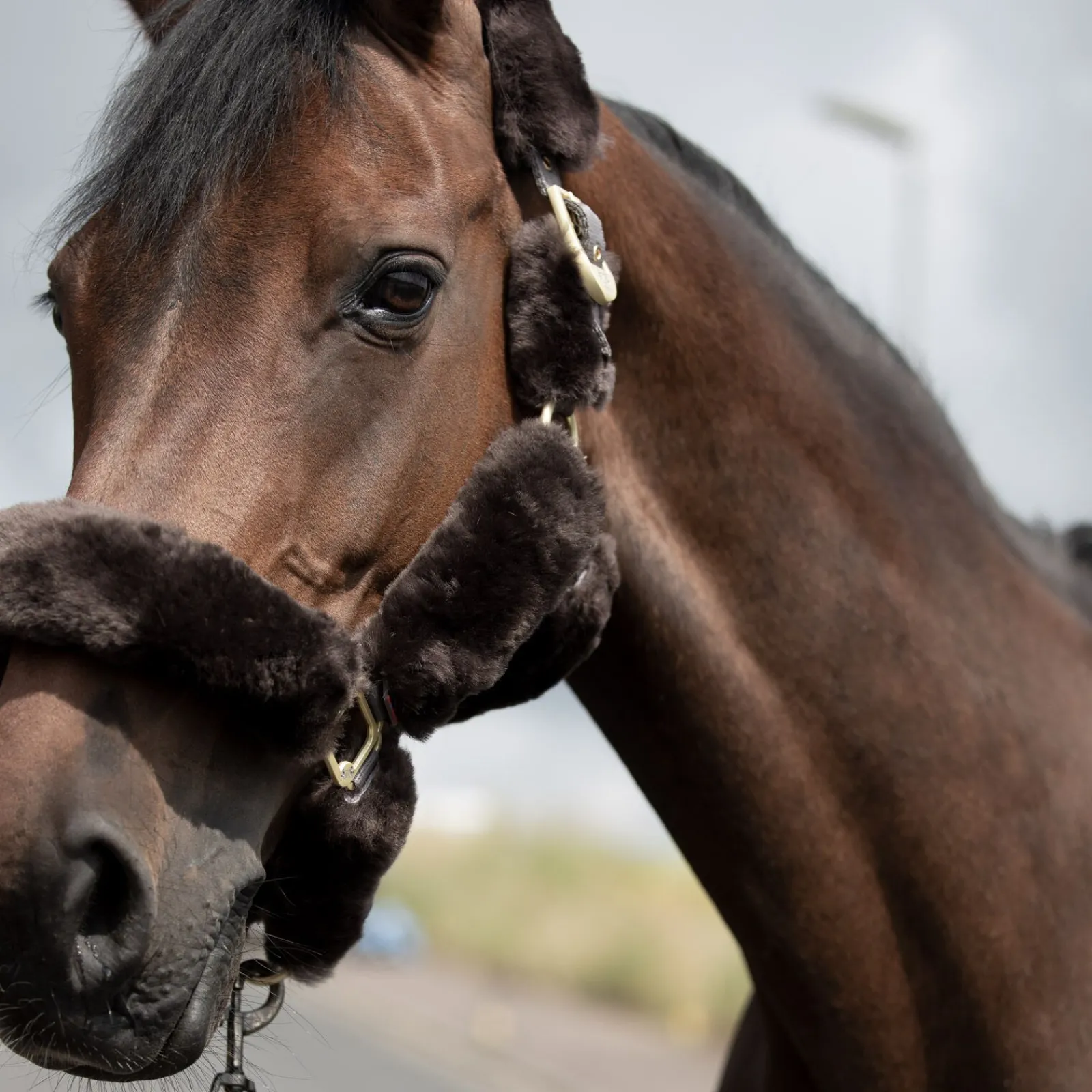 Hot B Vertigo Tremblant grime med saueskinn Nettdrevne Gjerdeapparater & Batteridrevne Gjerdeapparater|Grimer