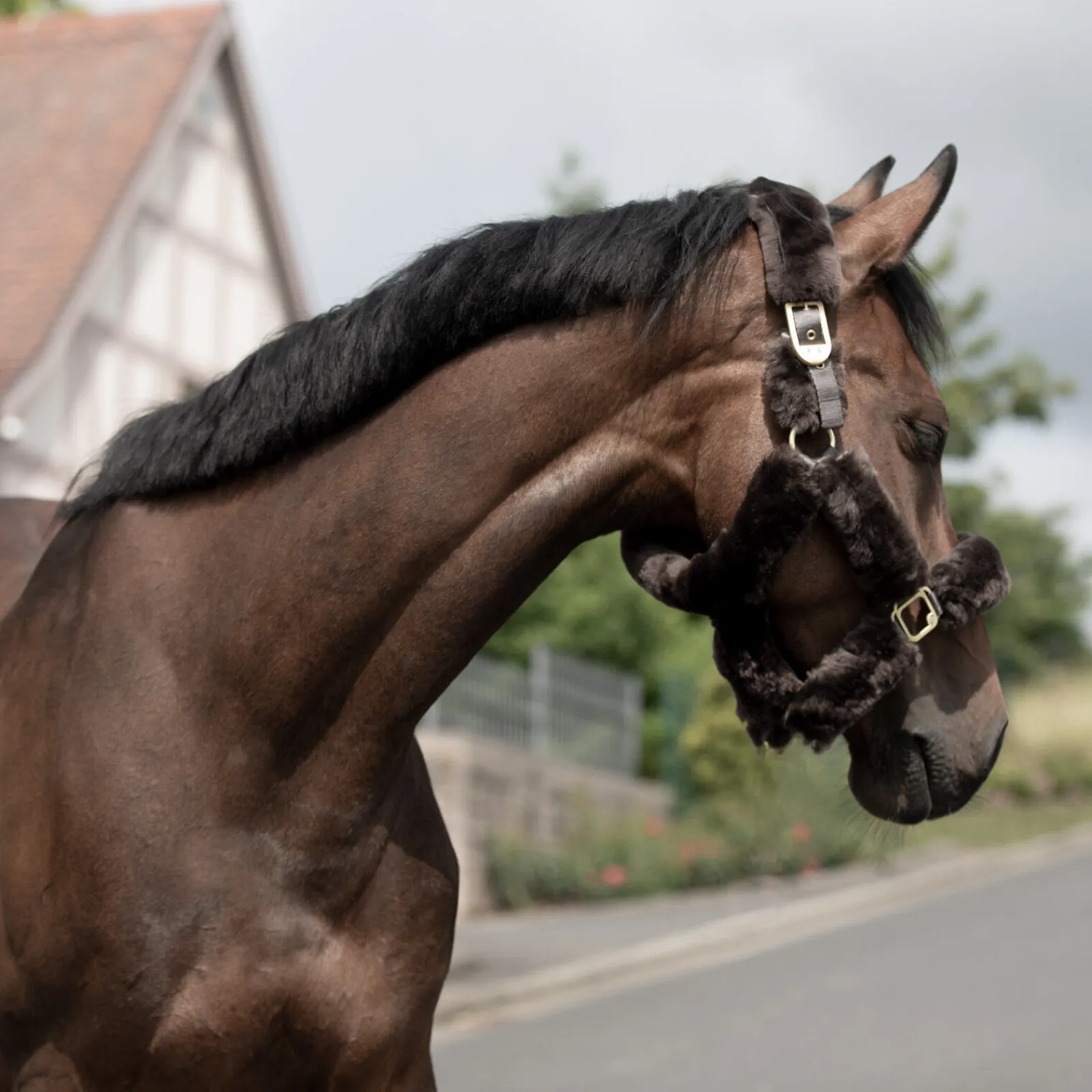 Hot B Vertigo Tremblant grime med saueskinn Nettdrevne Gjerdeapparater & Batteridrevne Gjerdeapparater|Grimer