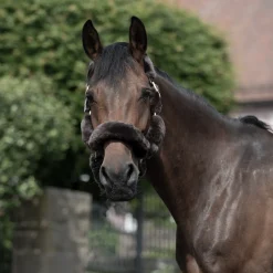 Hot B Vertigo Tremblant grime med saueskinn Nettdrevne Gjerdeapparater & Batteridrevne Gjerdeapparater|Grimer
