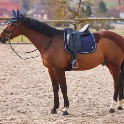 Clearance B Vertigo Zurich dressursjabrak Dressursjabraker