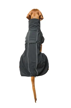 Discount Back on Track Bark allround hundedekken, 40-50 cm Hundeklær Og Hundedekken