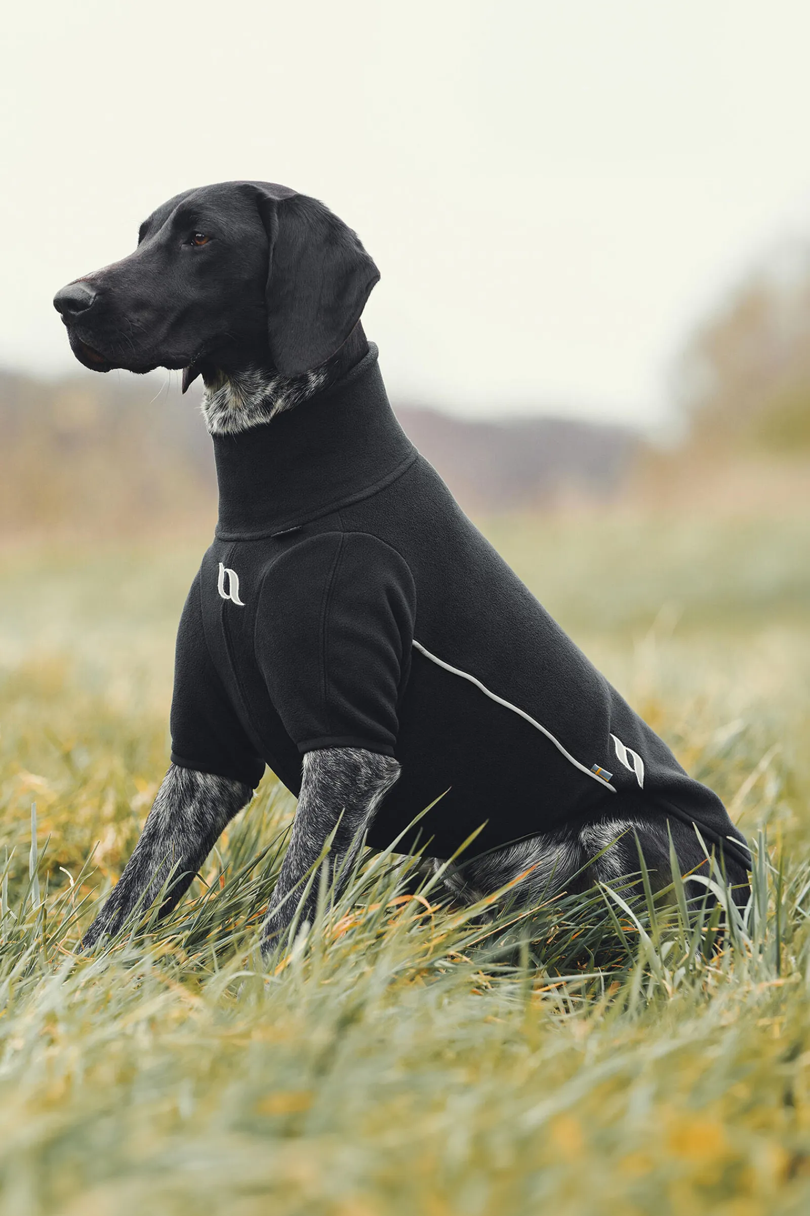 Online Back on Track Cassie allværsgenser, 25-30 cm Hundeklær Og Hundedekken