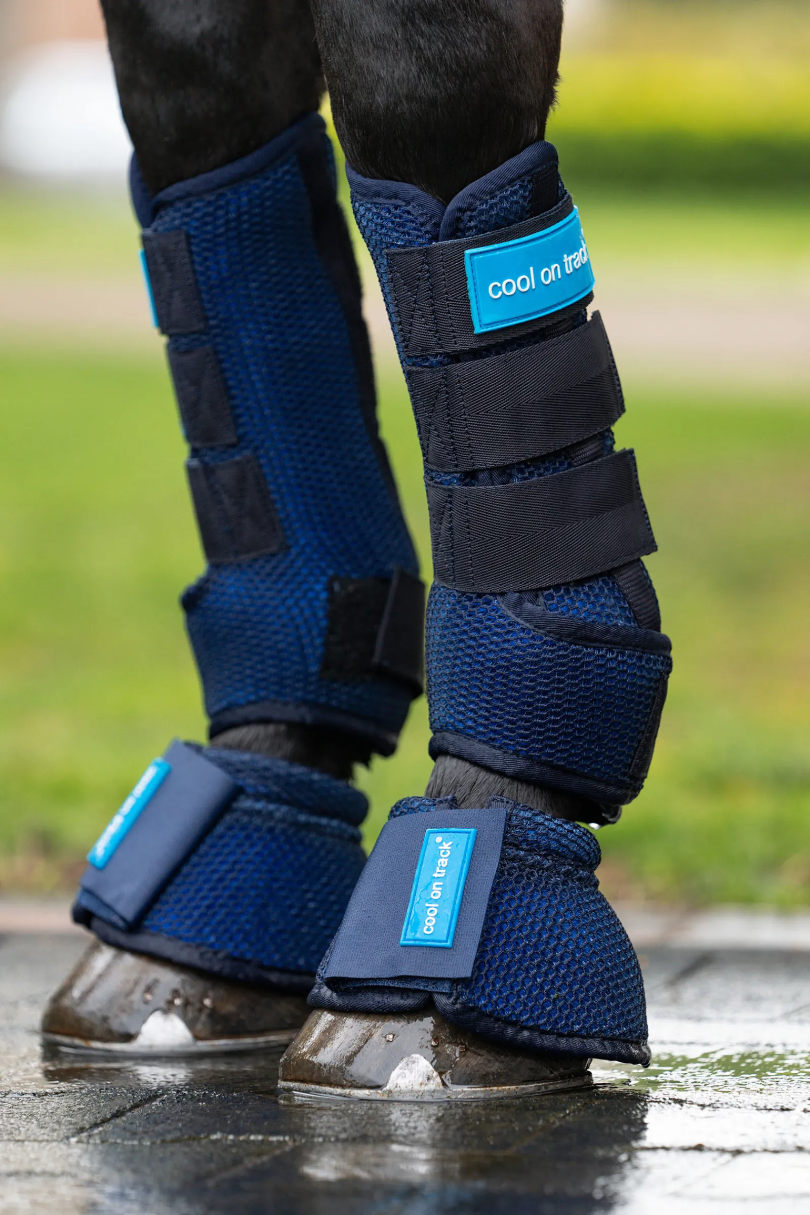 Online Back on Track Cool on Track belegg Belegg Til Hest