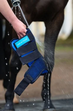 Online Back on Track Cool on Track belegg Belegg Til Hest