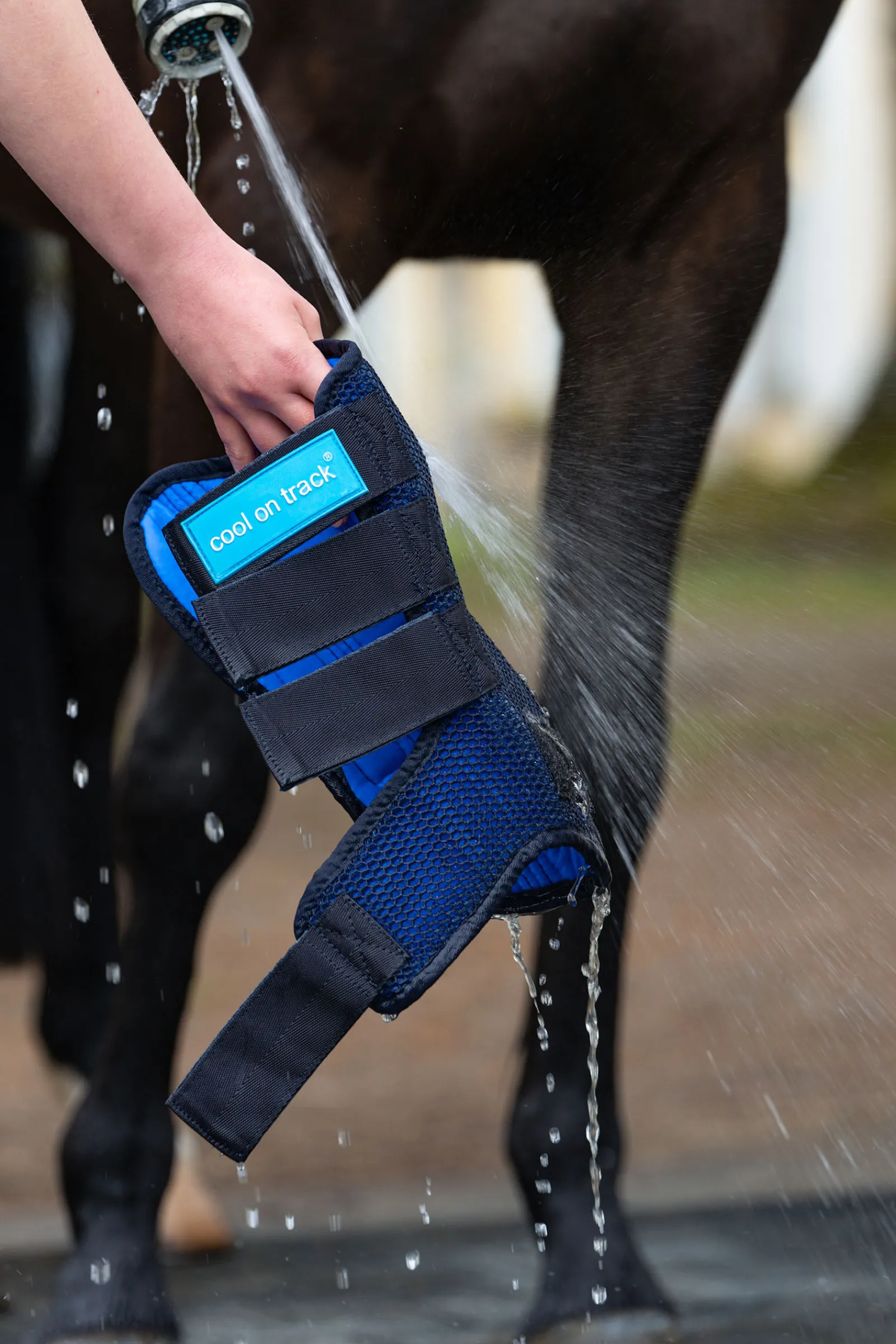 Online Back on Track Cool on Track belegg Belegg Til Hest