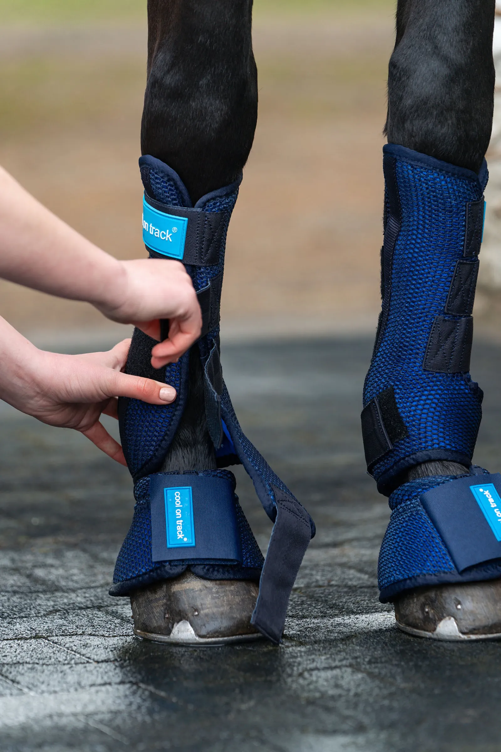 Online Back on Track Cool on Track belegg Belegg Til Hest