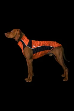 Back on Track Eddie High-Visibility genser, 40-45 cm Hundeklær Og Hundedekken