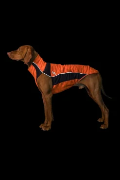 Sale Back on Track Eddie Petite High-Visibility genser, 30-35 cm Hundeklær Og Hundedekken