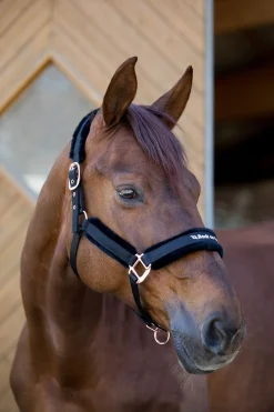 Sale Back on Track Hace kolleksjonen, grime Grimer