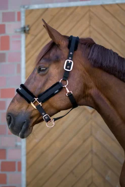 Sale Back on Track Hace kolleksjonen, grime Grimer