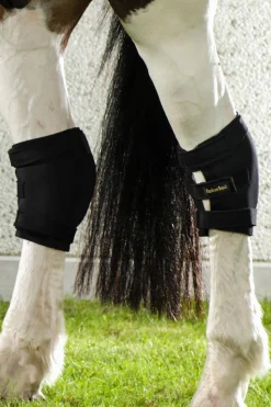 Hot Back On Track hasebelegg, høyre Hasebelegg Og Knebeskyttere