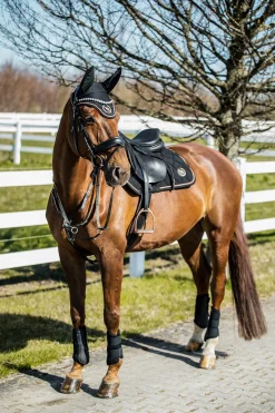 Clearance Back on Track Haze-kolleksjonen, sprangsjabrak Ponni Sjabrak|Allround- Og Sprangsjabraker