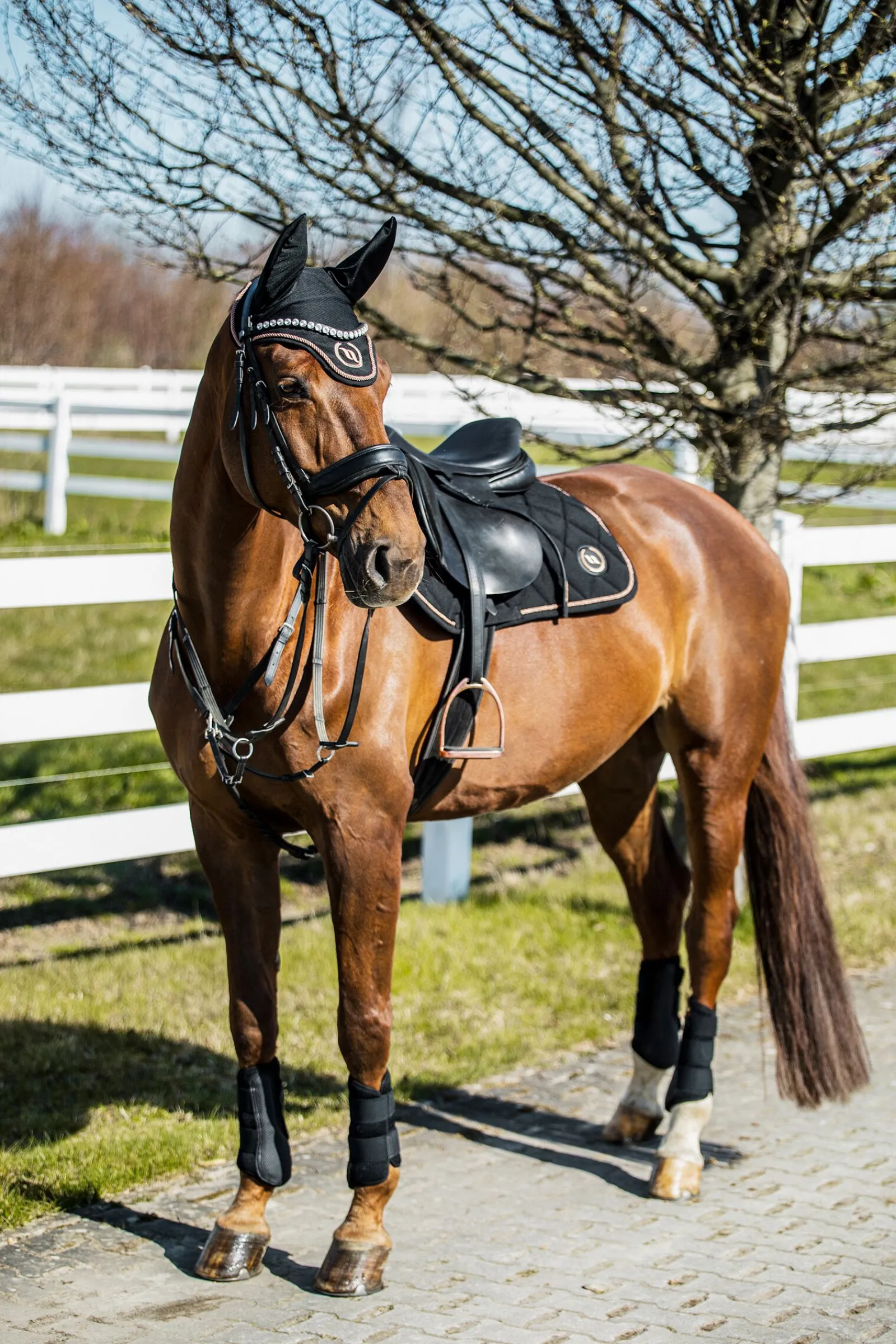 Clearance Back on Track Haze-kolleksjonen, sprangsjabrak Ponni Sjabrak|Allround- Og Sprangsjabraker