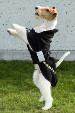 Online Back on Track hundedekken i fleece, 59-74 Hundeklær Og Hundedekken