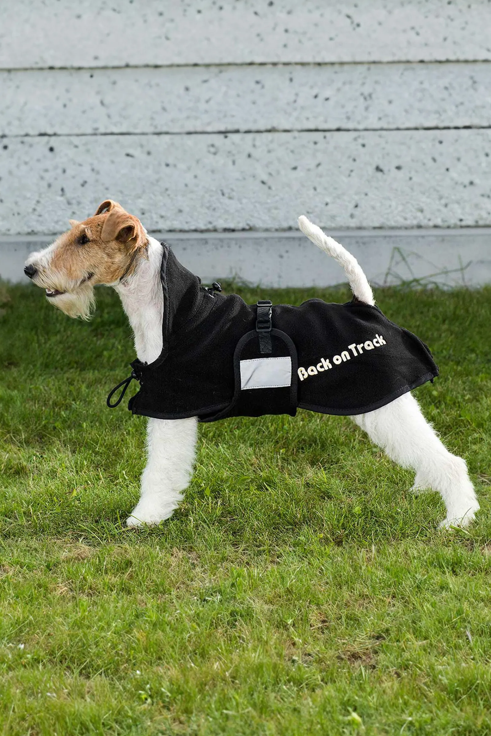 Online Back on Track hundedekken i fleece, 59-74 Hundeklær Og Hundedekken