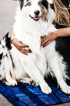 Sale Back on Track kjølematte Pleieprodukter Til Hund|Hundeklær Og Hundedekken