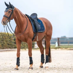 Online Back on Track Night Collection sjabrak, dressur Dressursjabraker