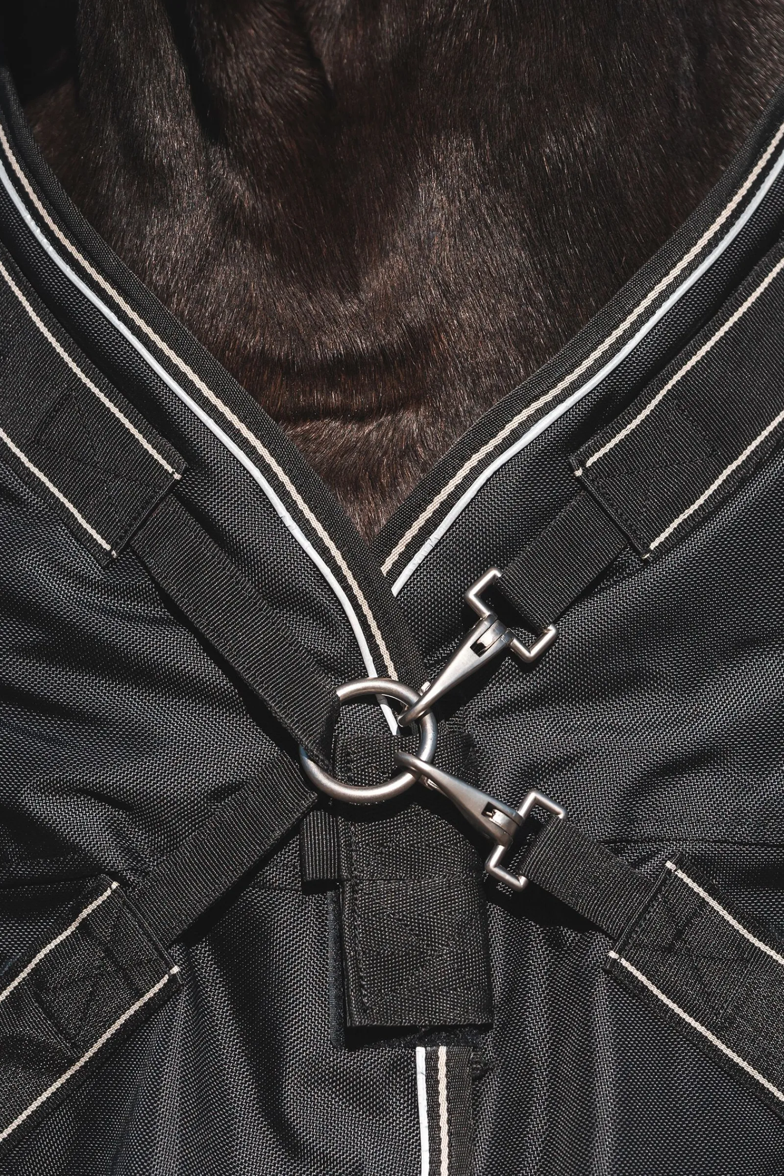 Back on Track Obsidian Turnout Rug, 0g Regndekken