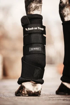 Hot Back On Track Quick Royal stallbandasjer Belegg Til Hest