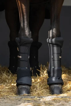 Hot Back On Track Quick Royal stallbandasjer Belegg Til Hest