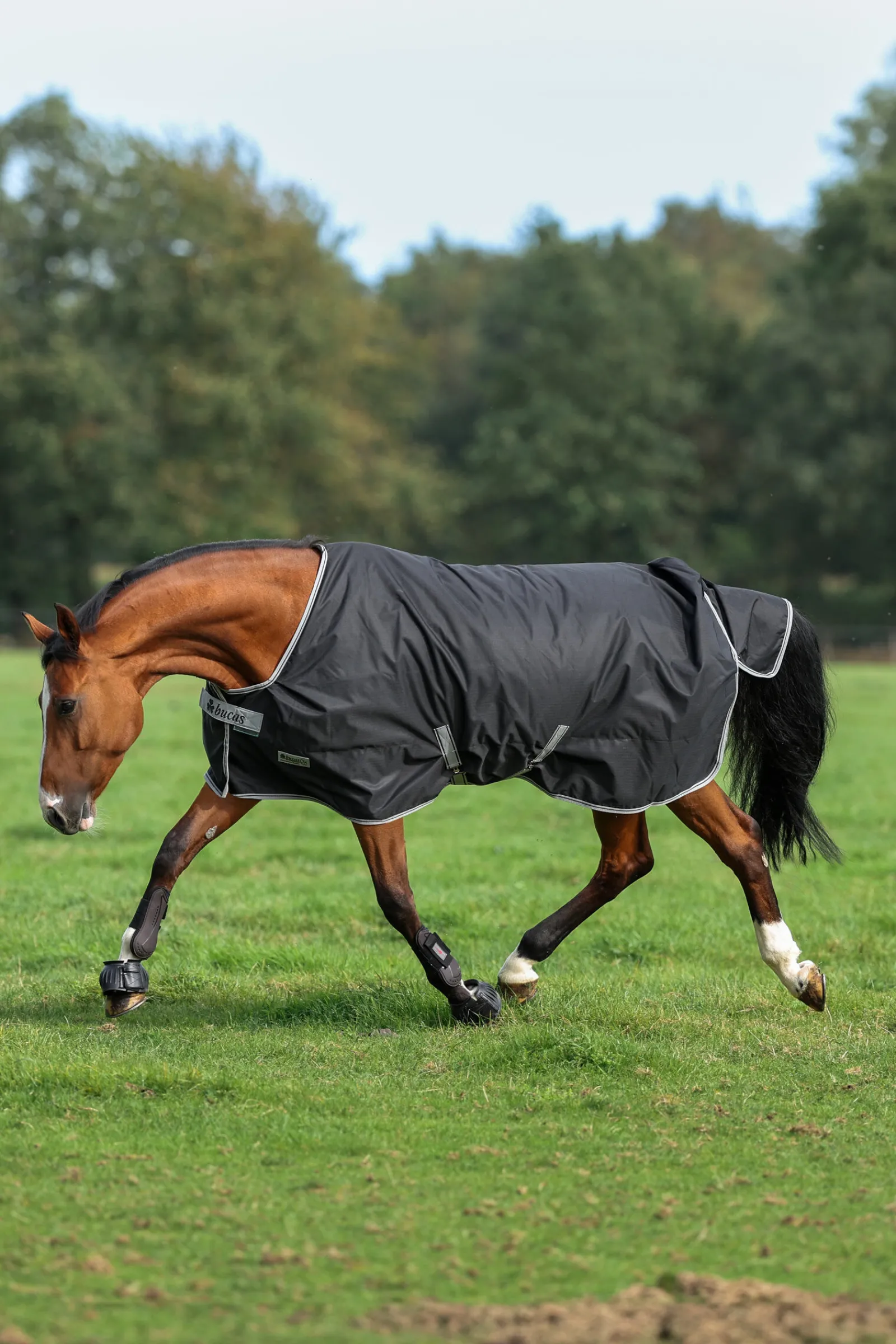 Outlet Anniversary SF lett regndekken, 50g Regndekken