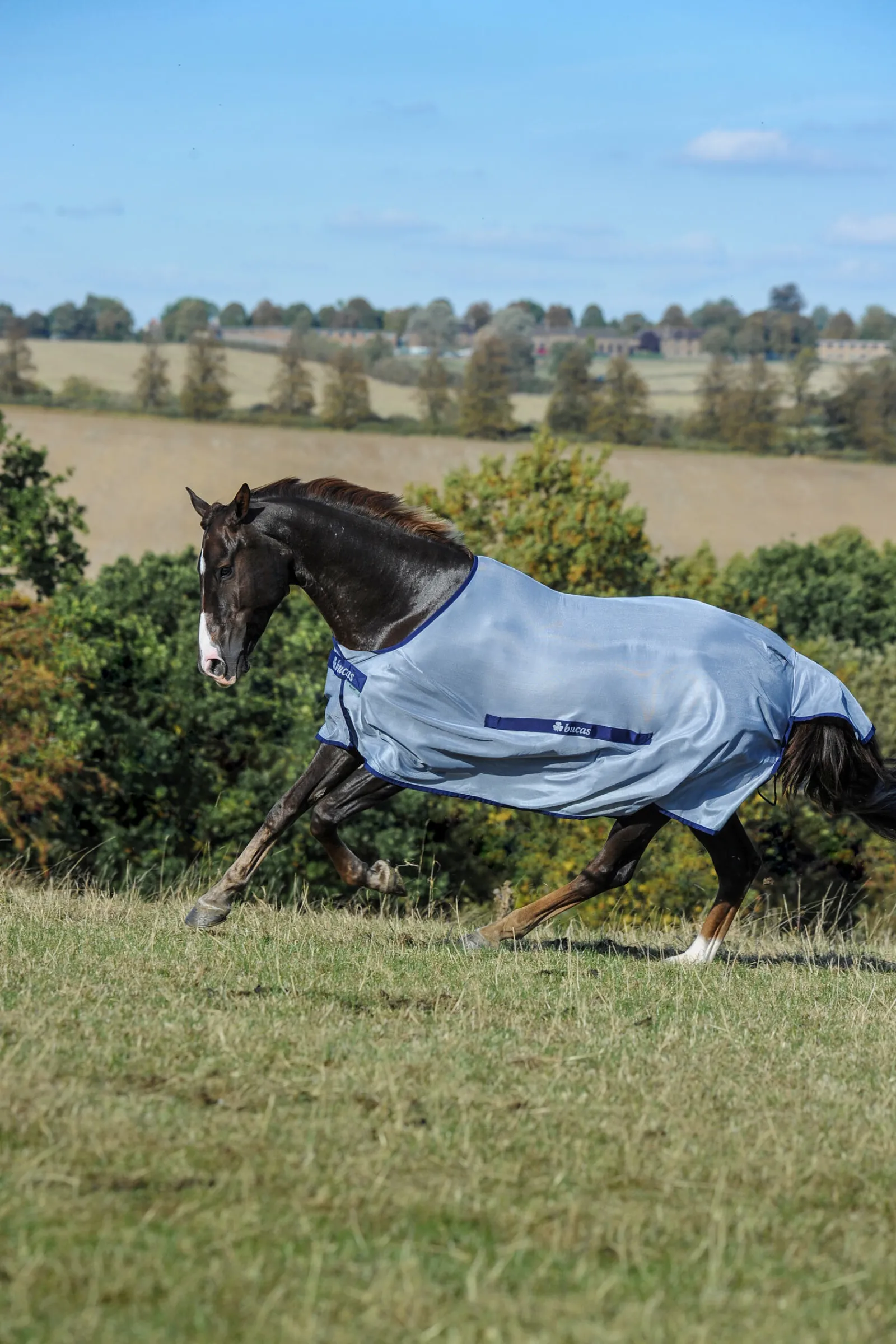 New Buzz-Off Classic fluedekken Insektsdekken|Insektsdekken