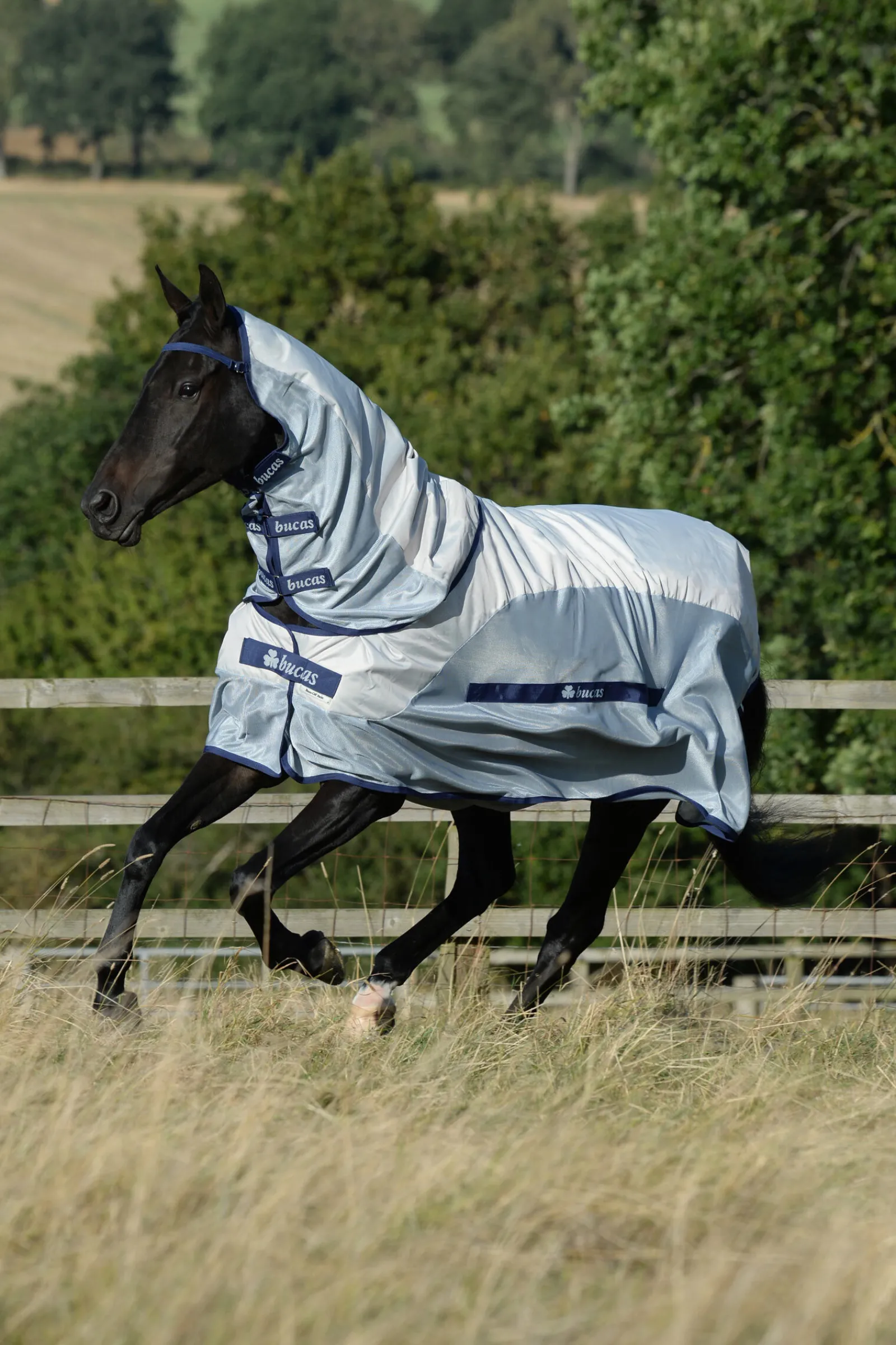 Online Buzz-Off Rain fluedekken Insektsdekken|Insektsdekken