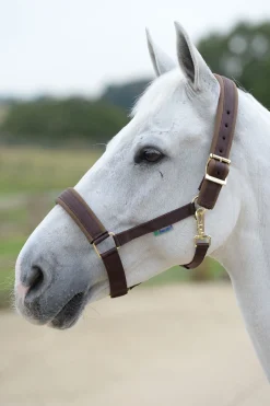 Best Comfort Grime Grimer