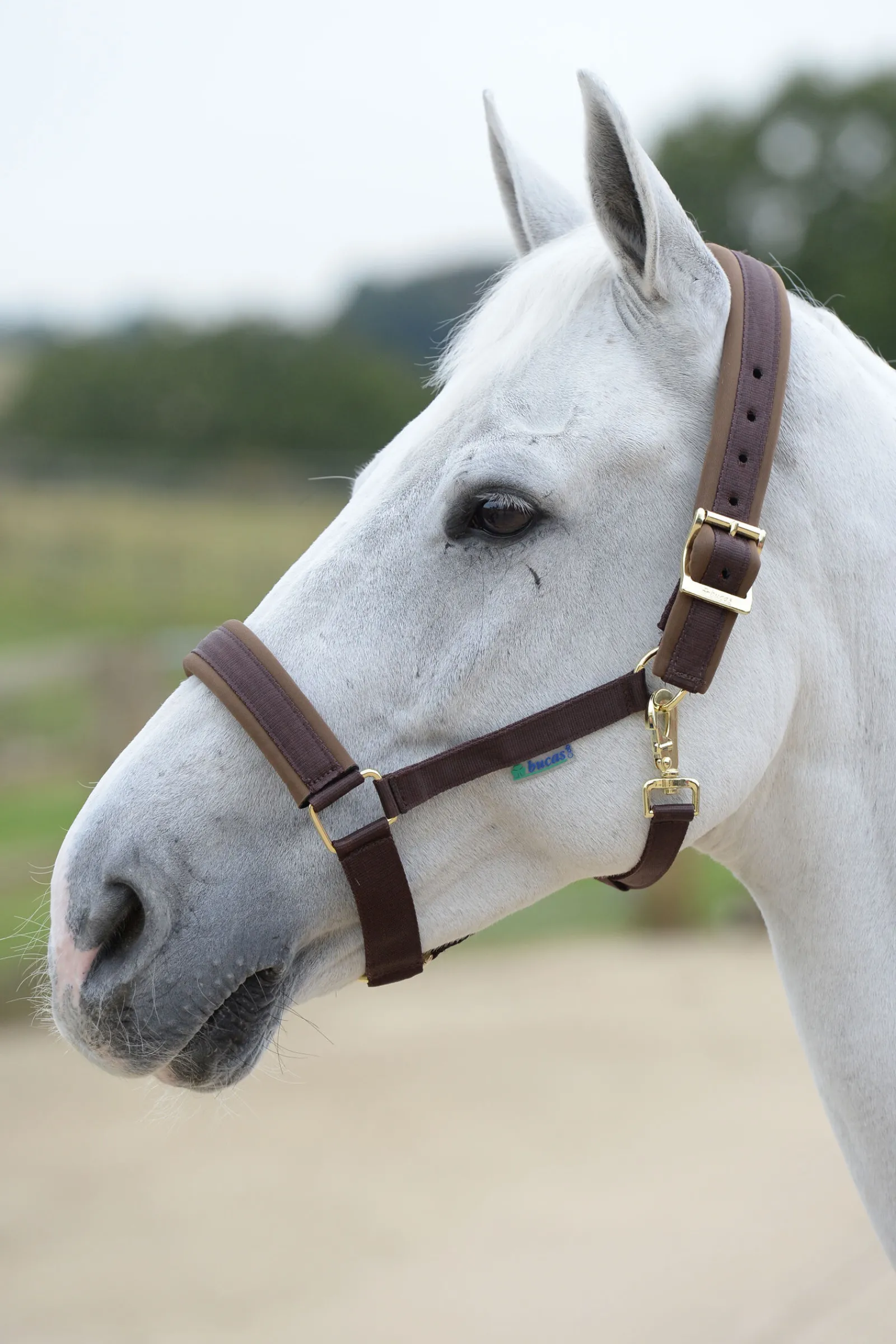 Best Comfort Grime Grimer