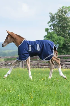 Online føldekken, 50g Regndekken