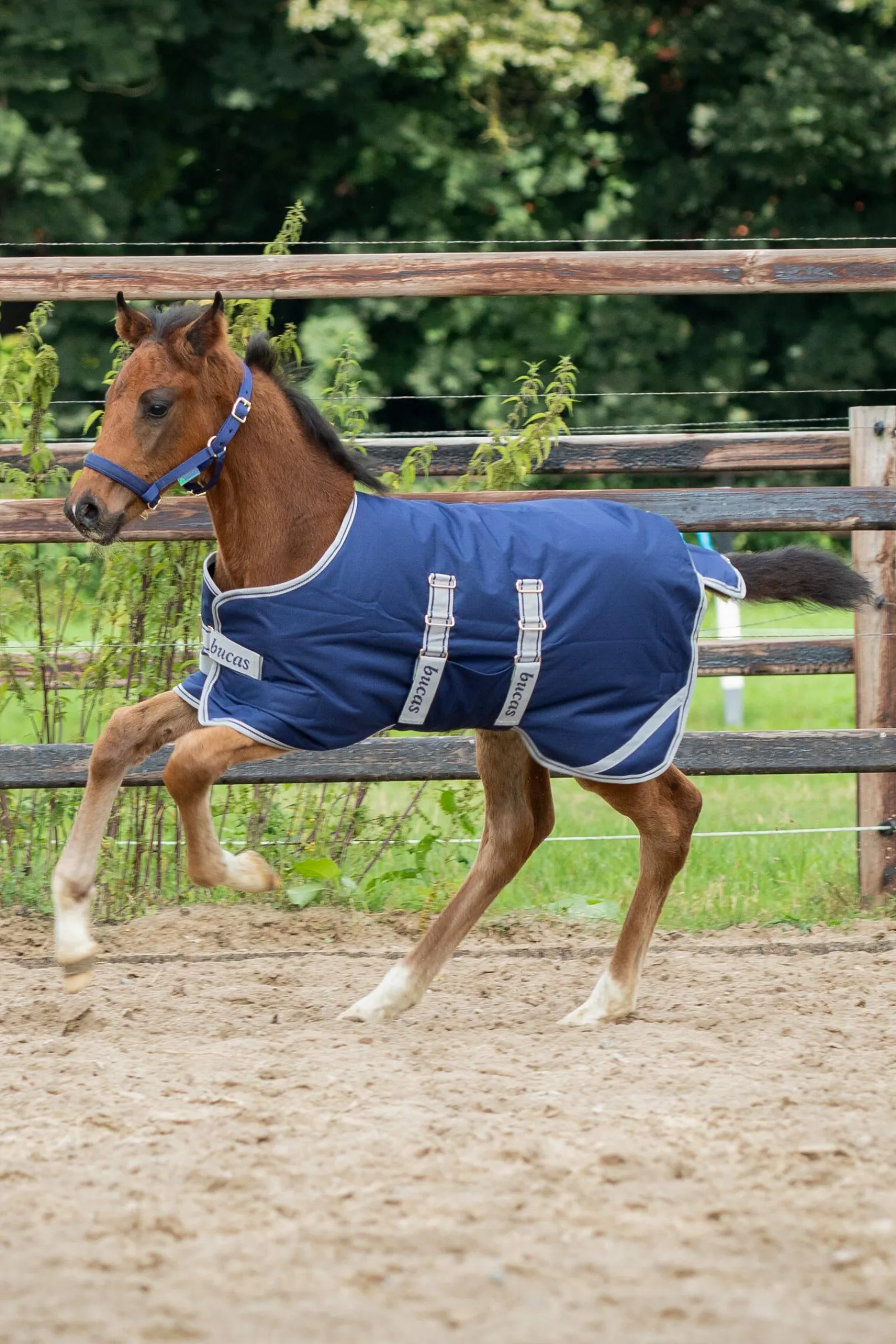 Online føldekken, 50g Regndekken