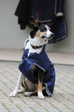 New Freedom Hundedekken, 50g (50-75 cm) Hundeklær Og Hundedekken